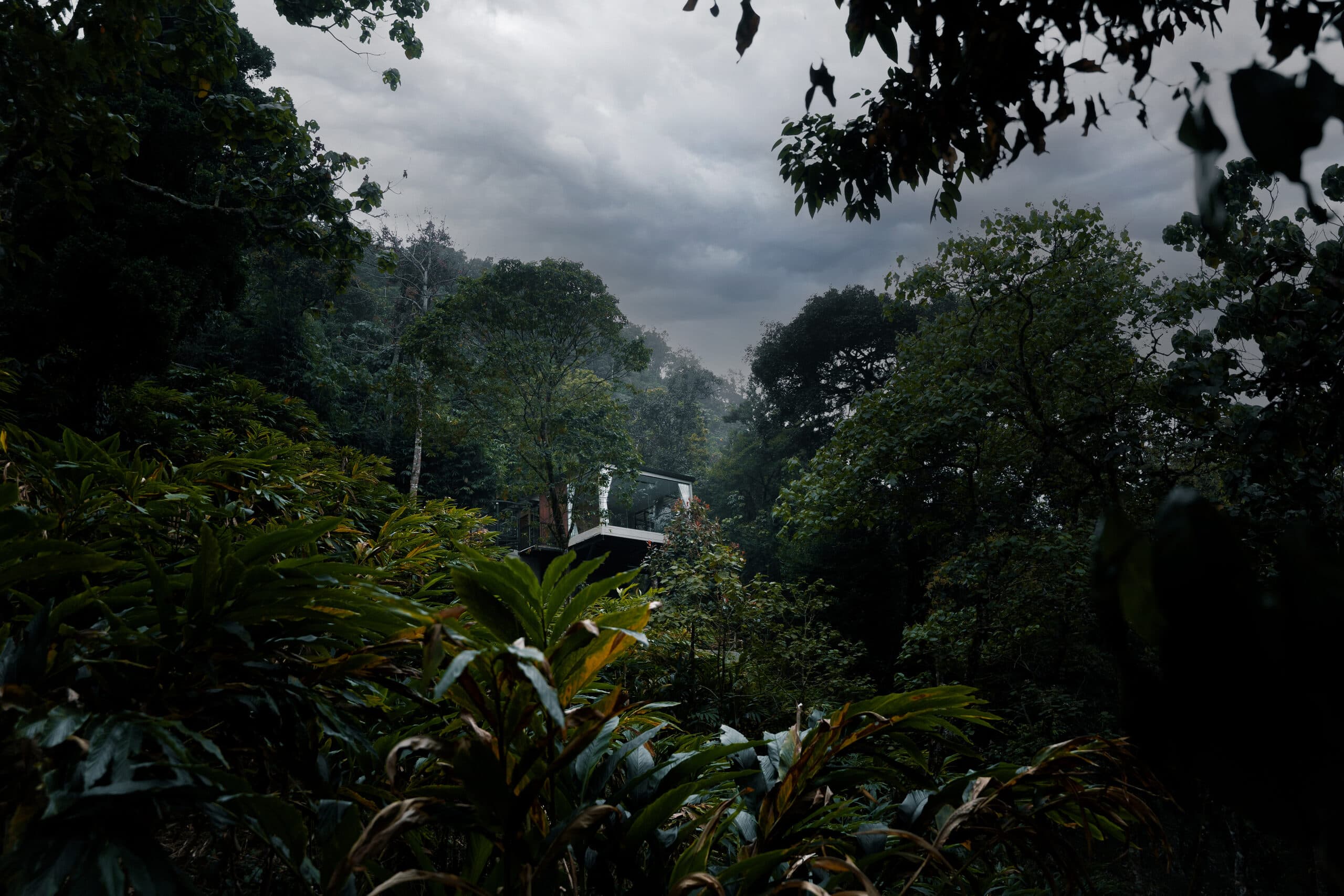 Élam Resort — Munnar